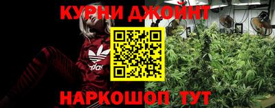 меф Кингисепп